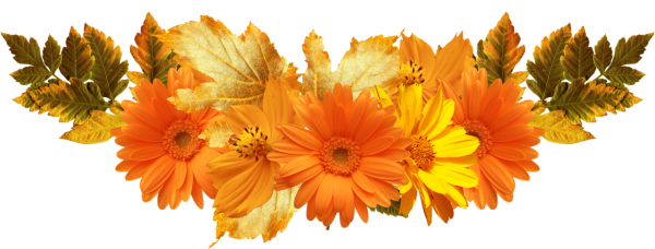 Осенний букет на белом фоне