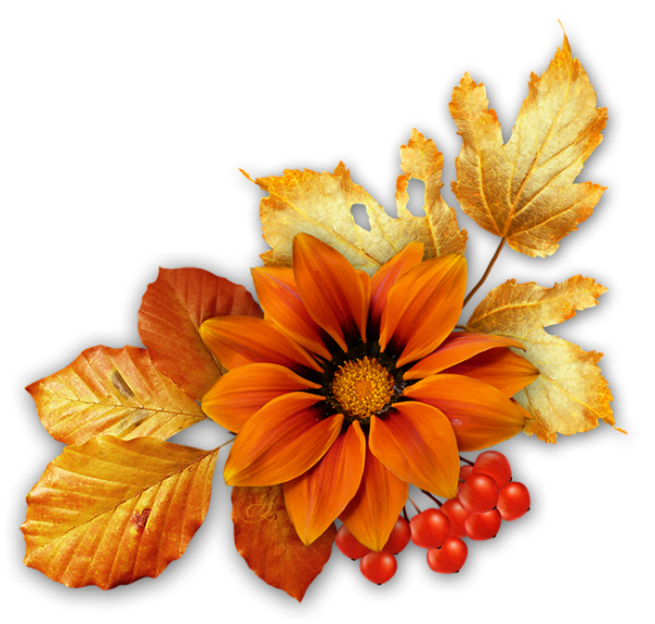 Осенний букет