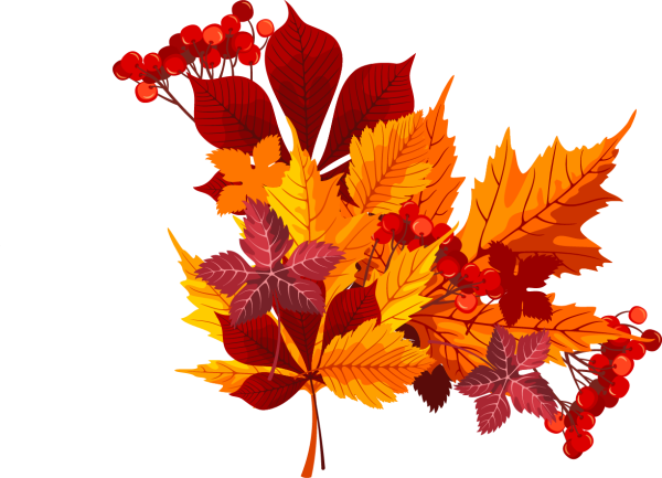 Букет из осенних листьев на прозрачном фоне