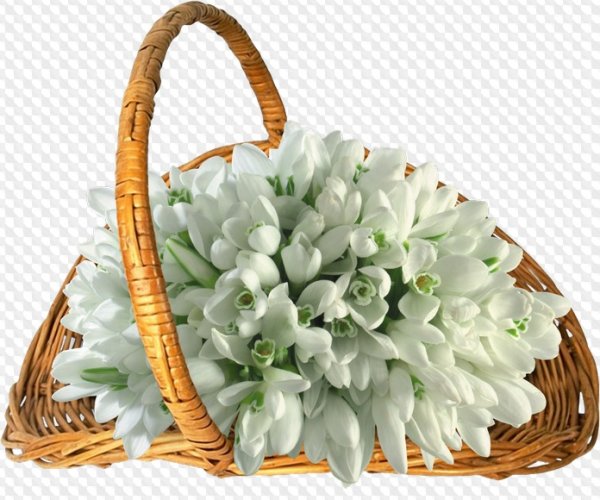 Кор-ина с подснежниками