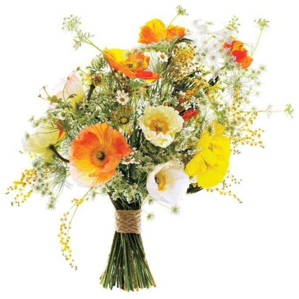 Букет полевых цветов на белом фоне