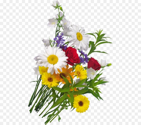 Полевой букет на белом фоне