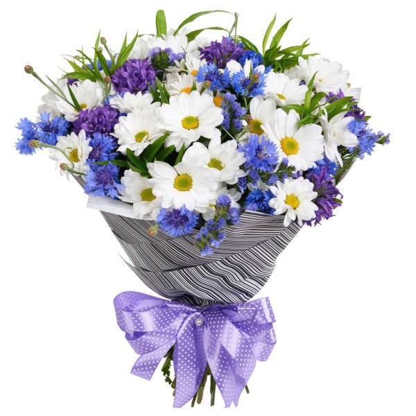 Красивые букеты из ромашек и Васильков