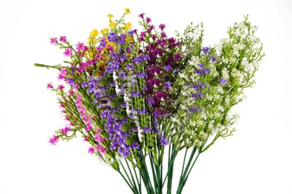 Букетик полевых цветов на прозрачном фоне