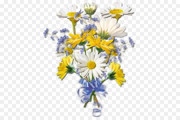 Букетик ромашек на прозрачном фоне