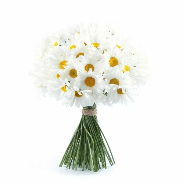 Маленькие ромашки букет