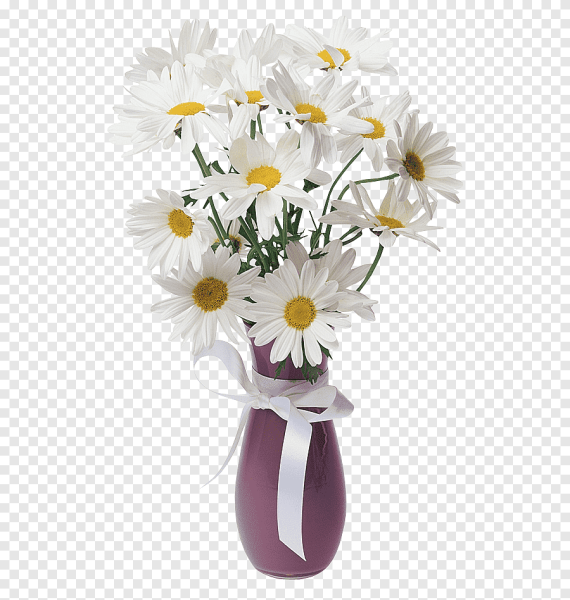 Букет ромашек без фона для фотошопа