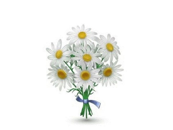Мультяшный букет ромашек