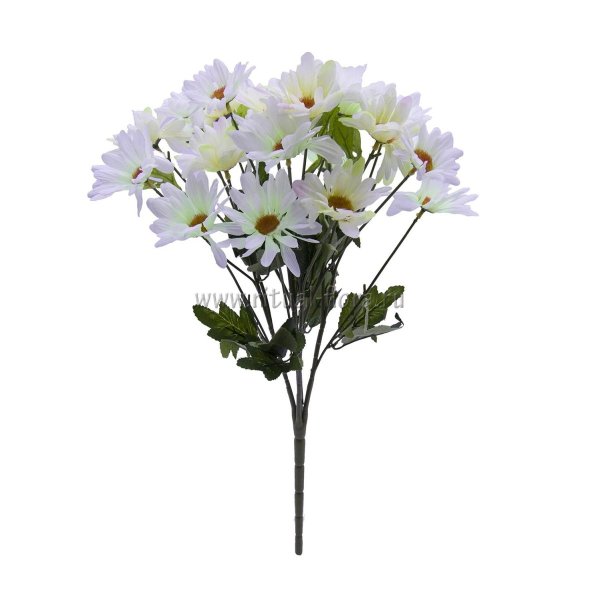 Букет ромашек без фона