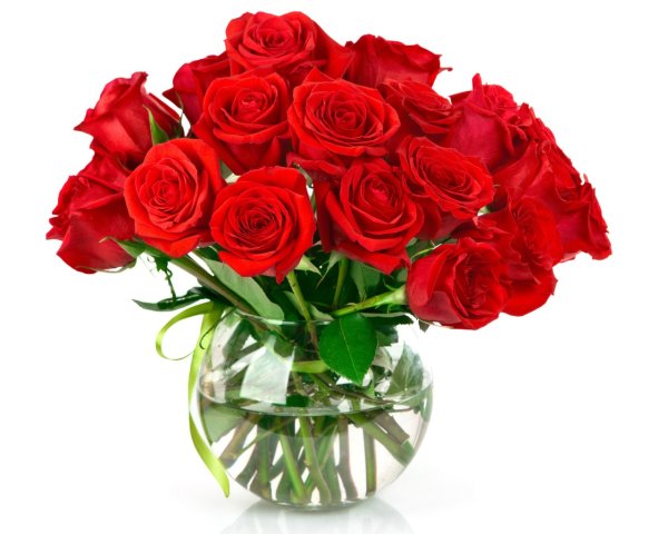 Букет красных роз на прозрачном фоне