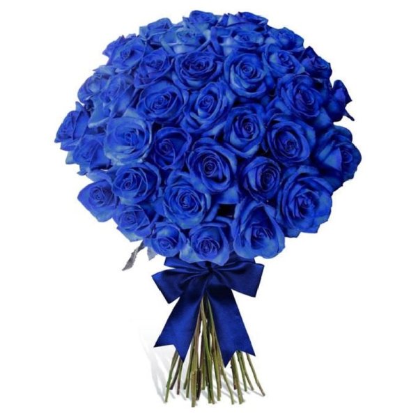 Эквадорские синие розы