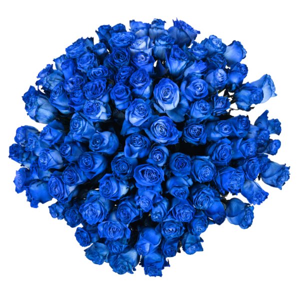 Голубые кустовые розы