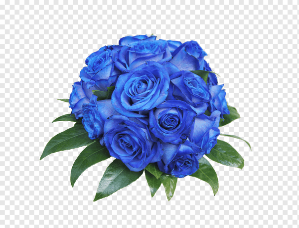 Синий букет на белом фоне