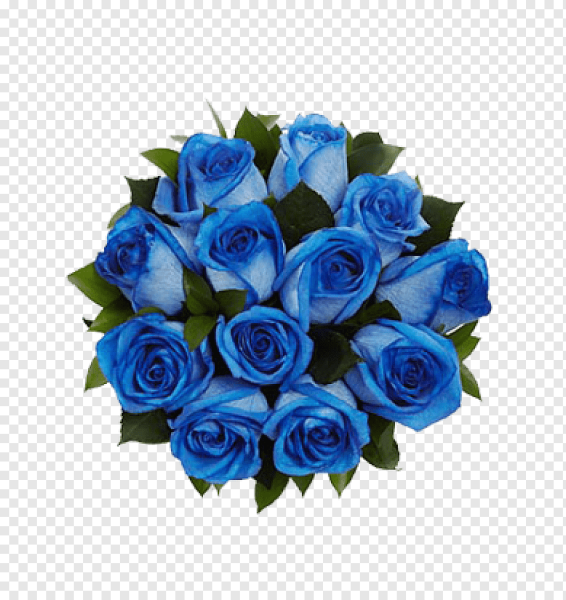 Красивый букет синих роз