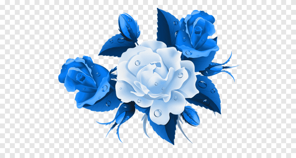Синие розы на прозрачном фоне