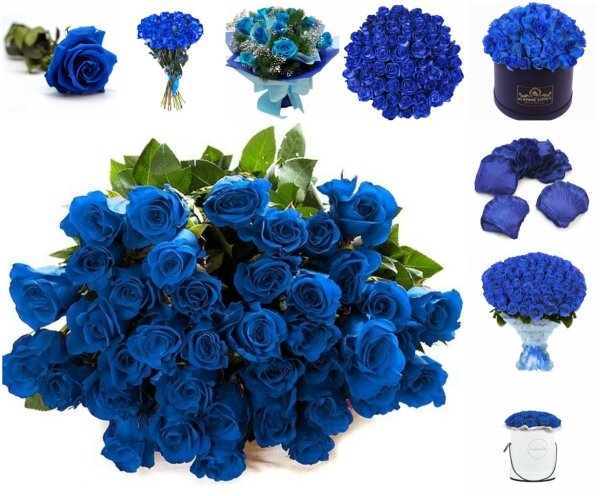 Голубые розы букет
