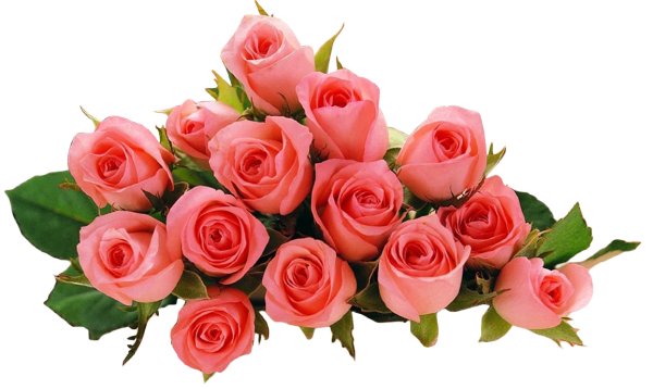 Клипарт букет роз на прозрачном фоне