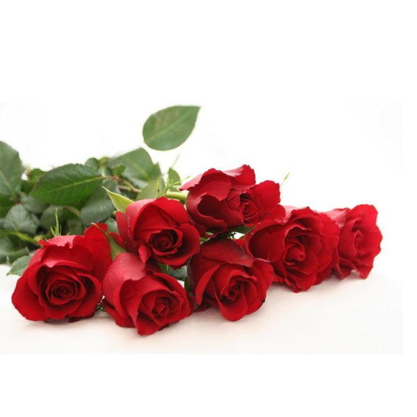 Букет роз лежит