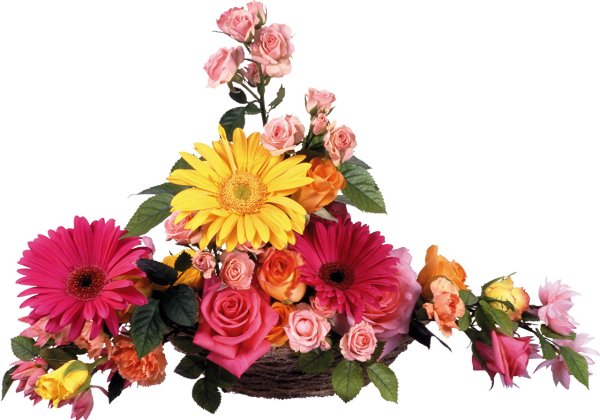 Цветы на прозрачной подложке