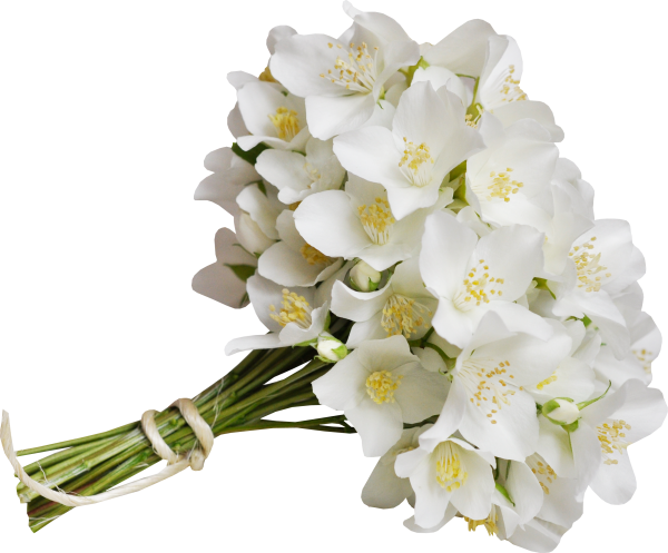 Свадебный букет без фона