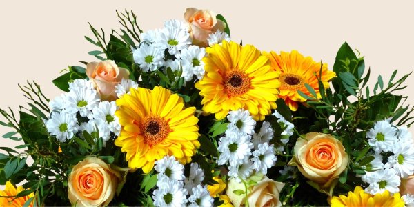 Цветочные композиции на прозрачном фоне