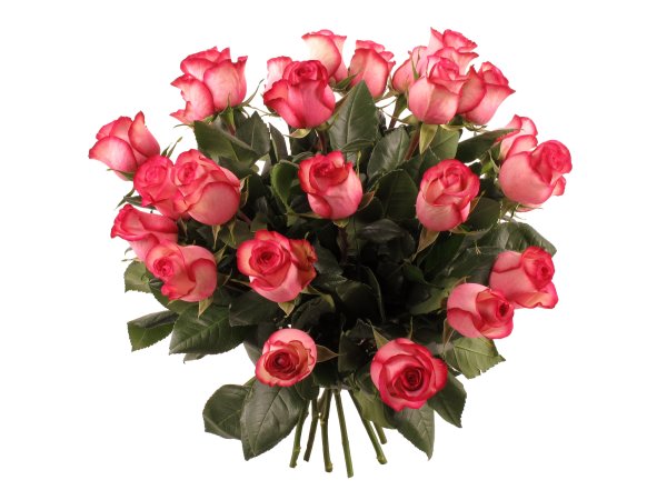 Красивый букет на прозрачном фоне