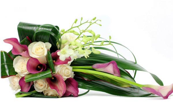 Букет цветов на белом фоне