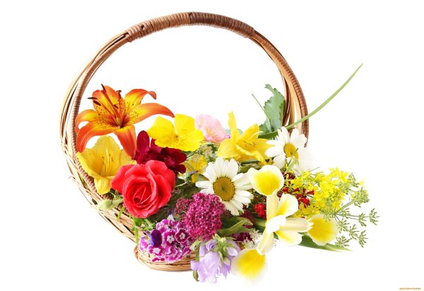 Корзинка с цветами на белом фоне