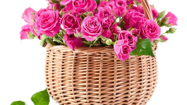 Цветы в корзине