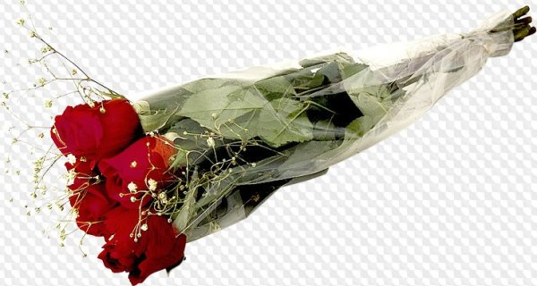 Букет роз на прозрачном фоне для фотошопа