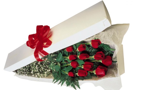 Подарки и цветы на прозрачном фоне