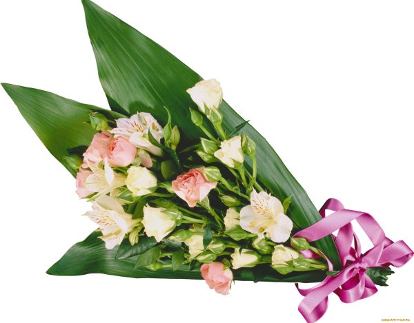 Цветы для мужчины