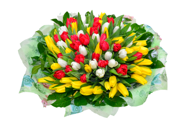 Красно желтые тюльпаны букет