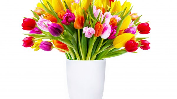 Тюльпаны в вазе