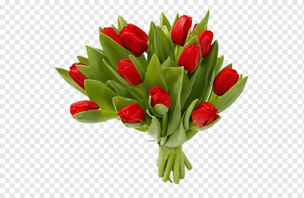 Красные тюльпаны