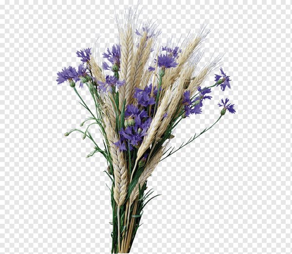 Колоски васильки лен