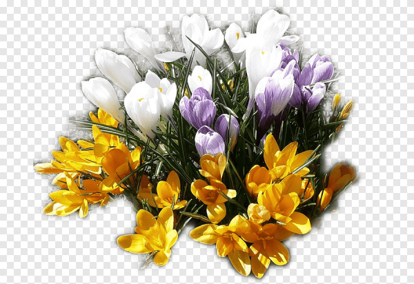 Весенний букет