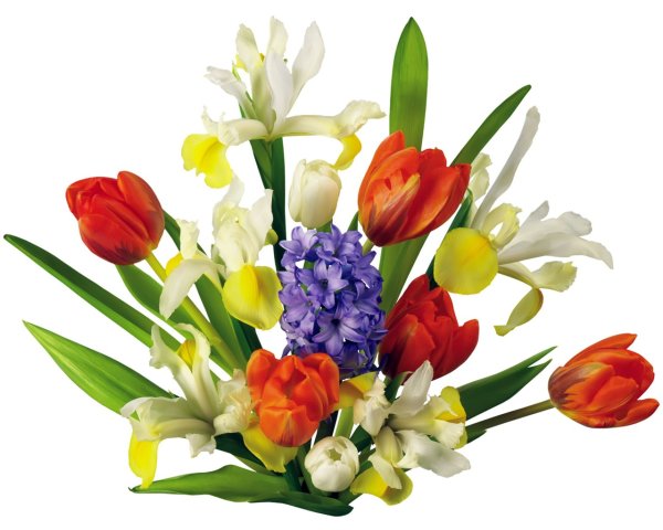 Стильные весенние букеты