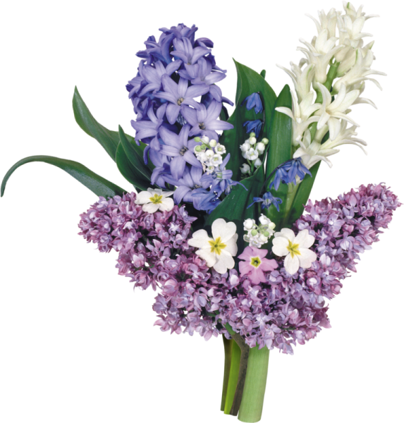 Весенний букет на прозрачном фоне