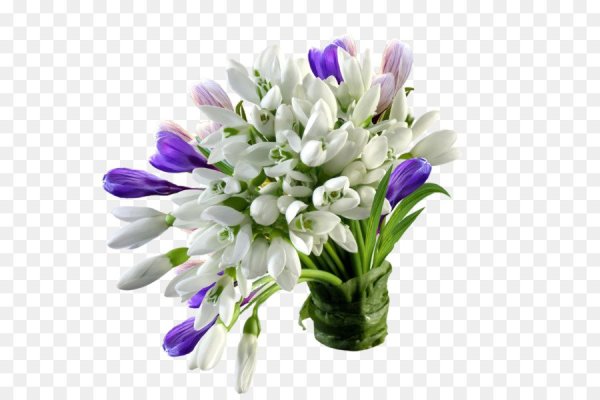 Подснежники на белом фоне