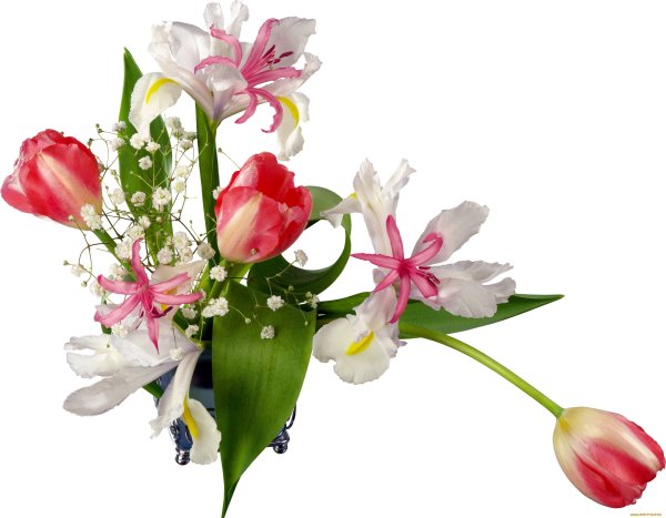 Весенний букет без фона