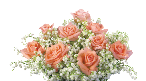 Букет на прозрачном фоне