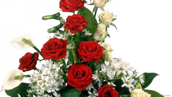 Букет на белом фоне