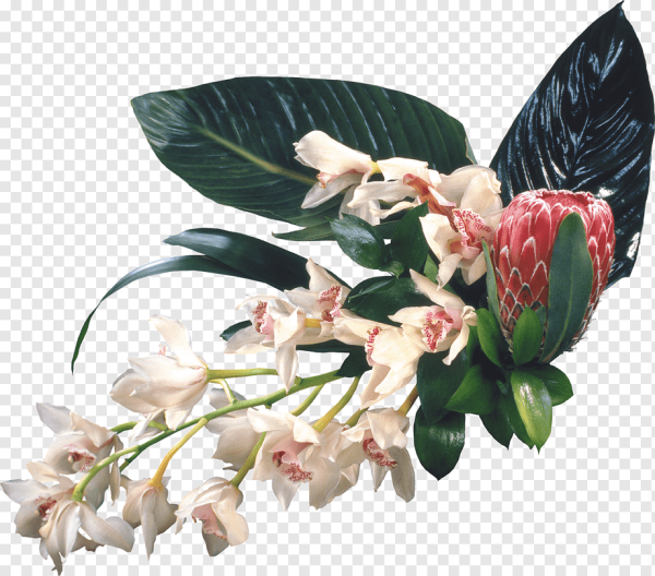 Букеты экзотических цветов с прозрачным фоном