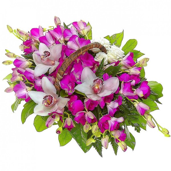 Дендробиум белый в букете