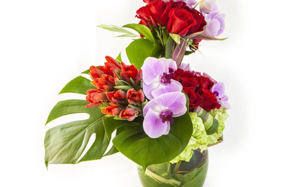 Букет цветов на белом фоне