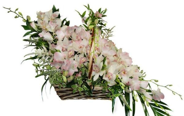 Корзина с орхидеями Дендробиум