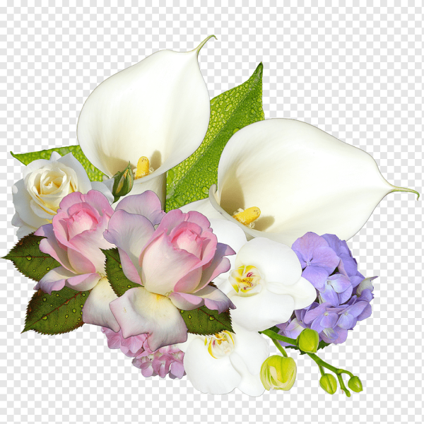 Цветочная композиция орхидеи на прозрачном фоне
