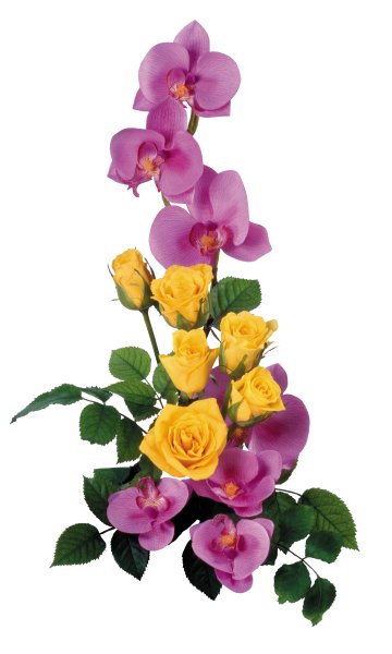 Прозрачные цветы