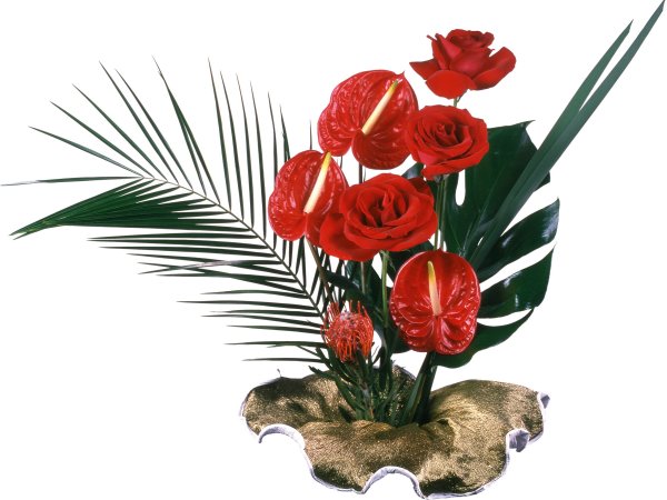 Композиция без фона